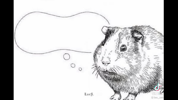 Une Vraie Chatte Blanche Se Fait Baiser En Colombie Pendant Que Tupac Revient À La Vie