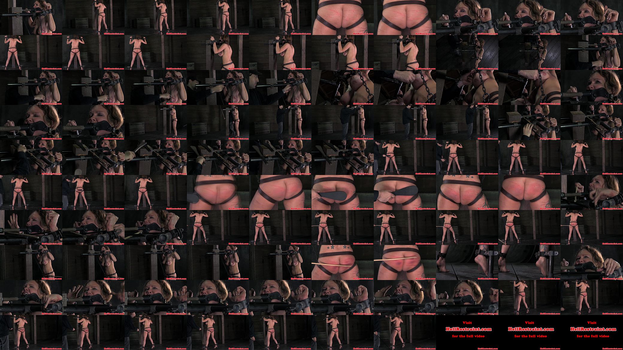 Strappado bondage slut gets flogged 预览图