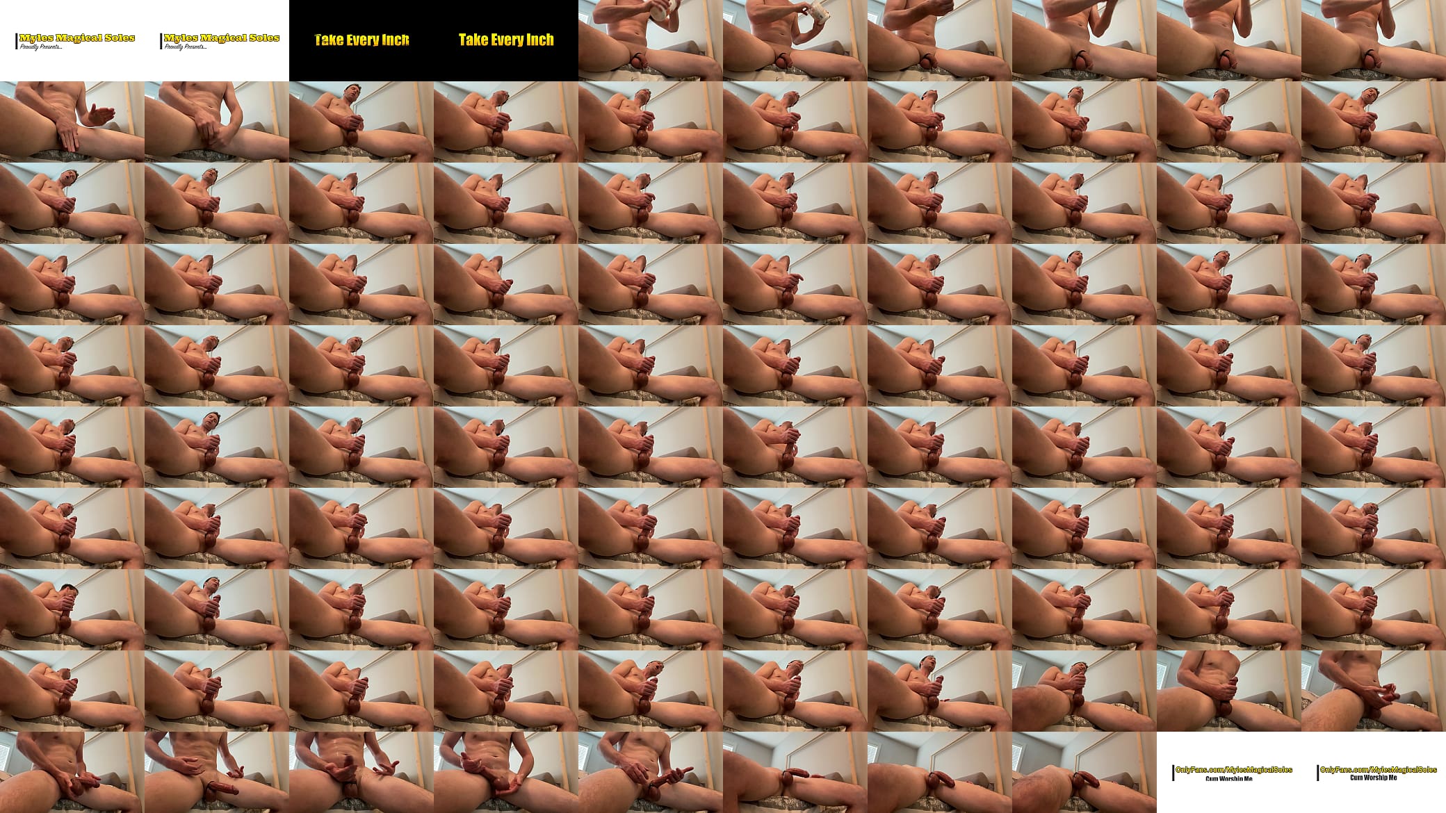 Take Every Inch 预览图