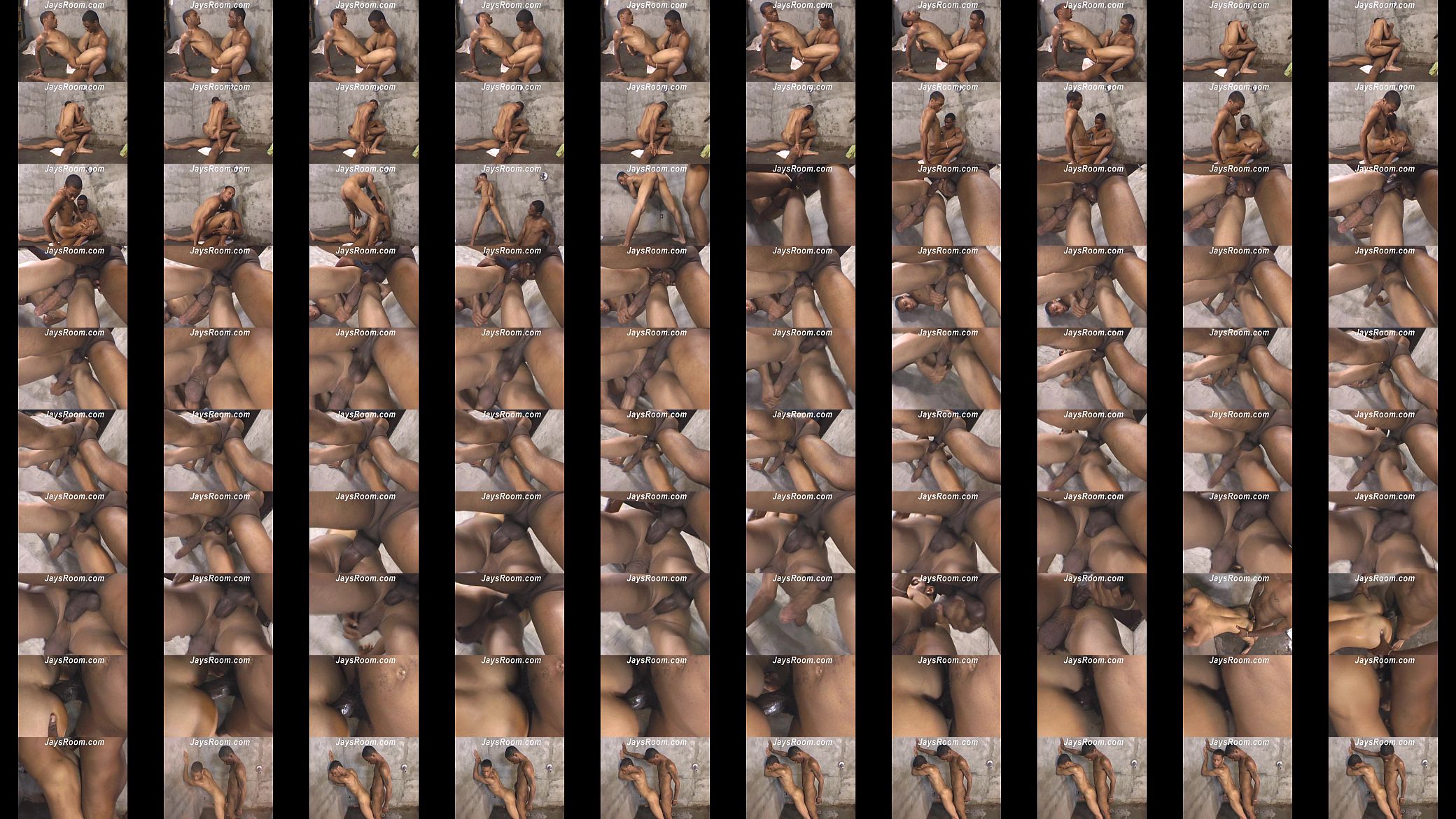 Black Breeders Sc1 预览图