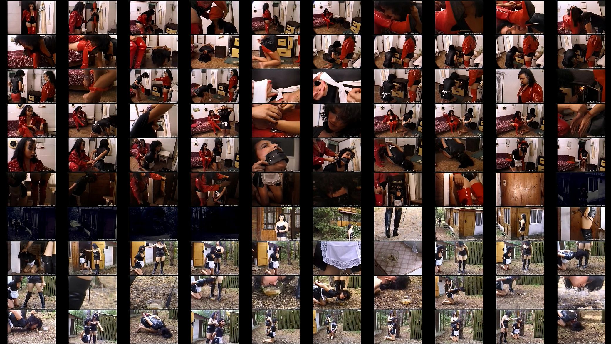 Czech Fetish Lesbians Rough Kinky Play 预览图