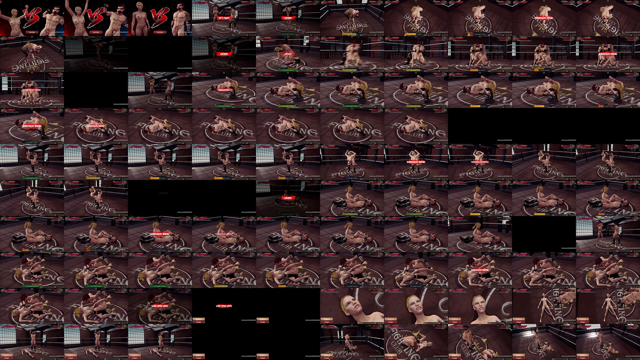 Caysie VS Lord Jerle (Naked Fighter 3D) 预览图