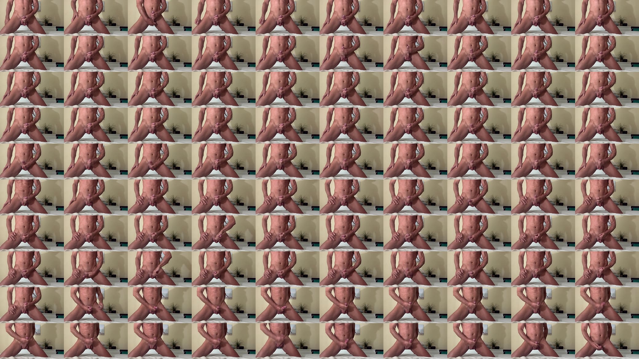 Paja8 预览图
