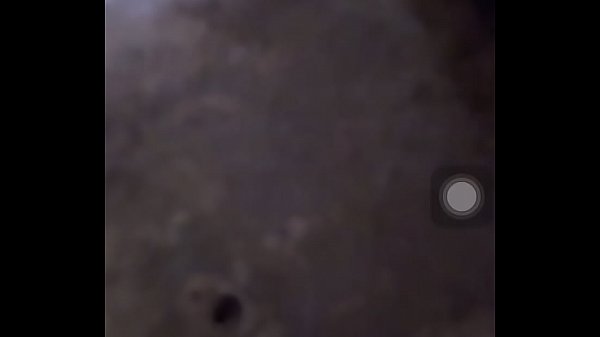 Tuốt lương trong đêm