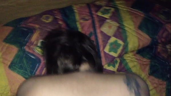 Download Video - Thick white ass on BBC IMG 2551