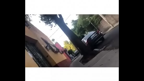 Cruising Cdmx-Chacal se saca la verga en plena ...