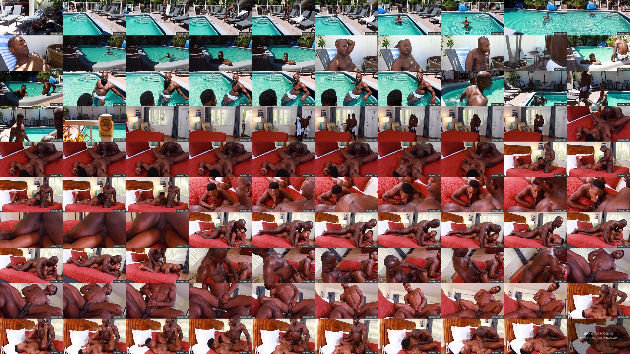 Black on black gay action 预览图