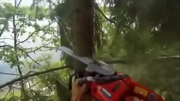 LONG THICK WOOD FLIES INTO STRATOSPHERE