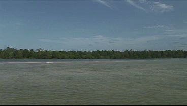 Brazilian Barbie Banks Gets DP'd In The Water