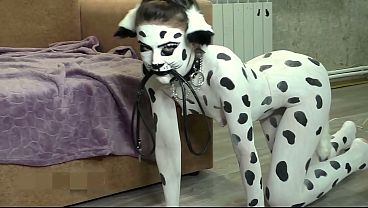 Cute Dalmatian Bitch On A Leash Sucks His Master A Big Dick