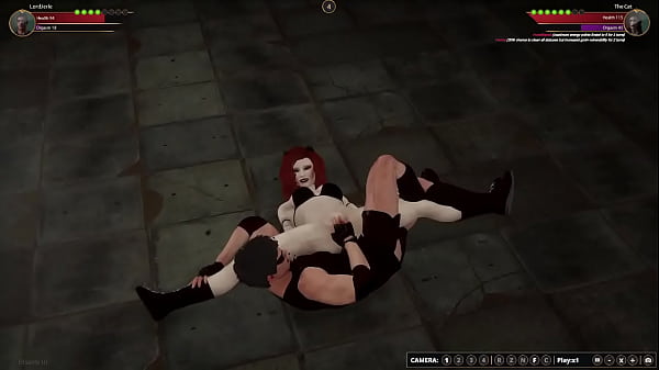 LordJerle VS The Cat (Naked Fighter 3D)