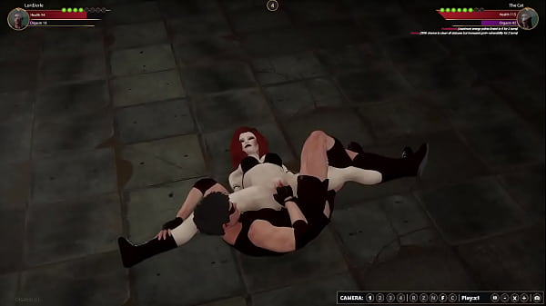 LordJerle VS The Cat (Naked Fighter 3D)