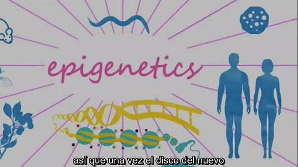 Why DNA is the software code for the Matrix and all life