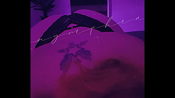 Nymphea - update #77 - Oct 04, 2021