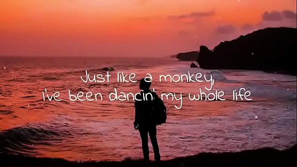 Dance monkey