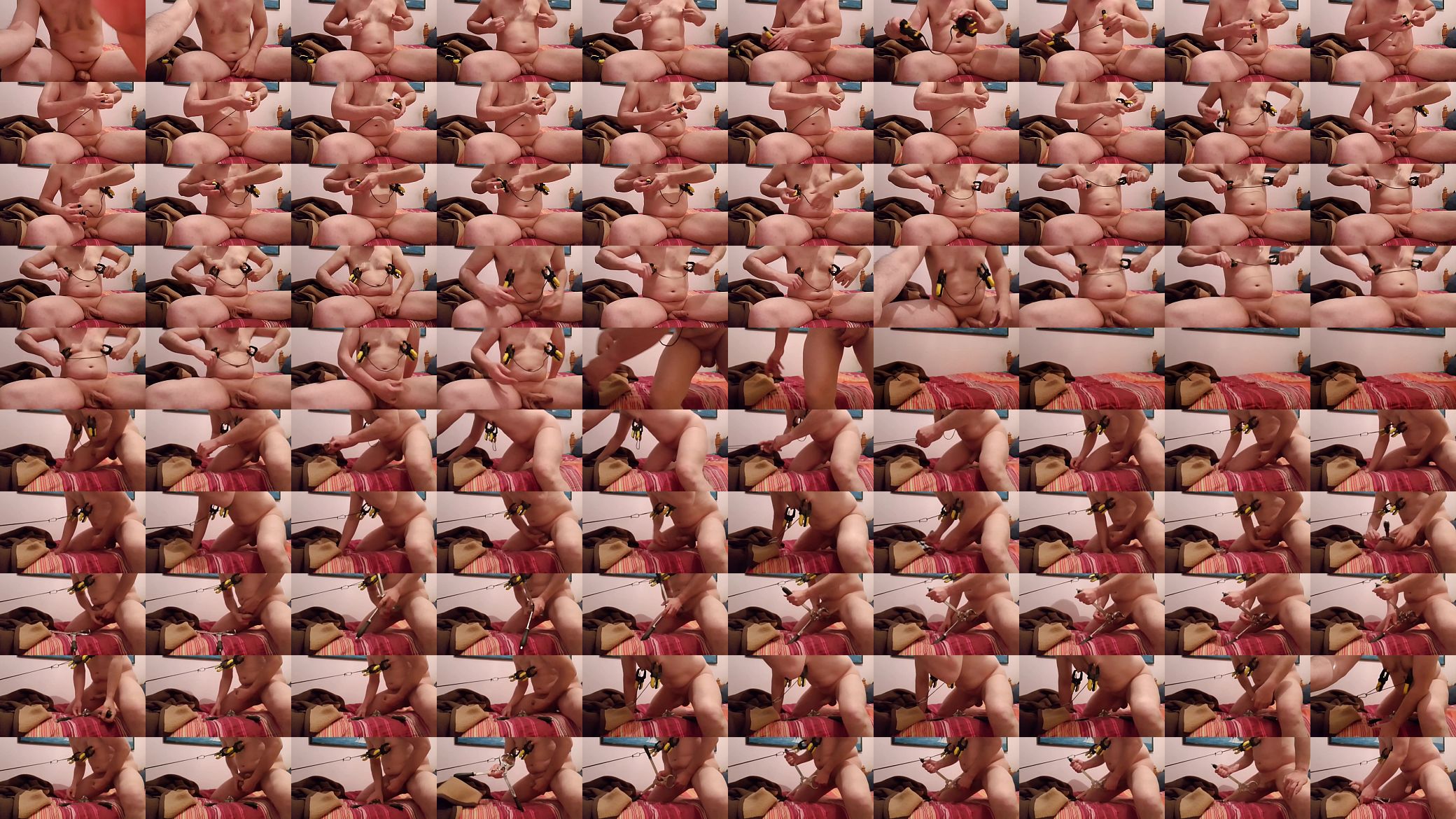 Nipple clamps and Burdizzo 预览图