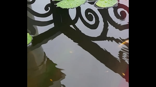 Video xác minh