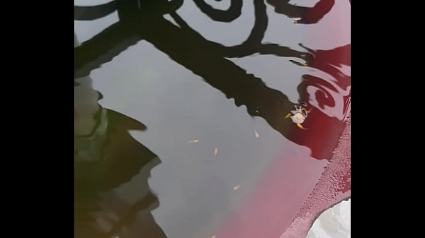 Video x&aacute;c minh