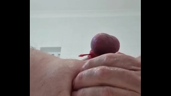 2 plugs a dildo orange eggplant prolapse