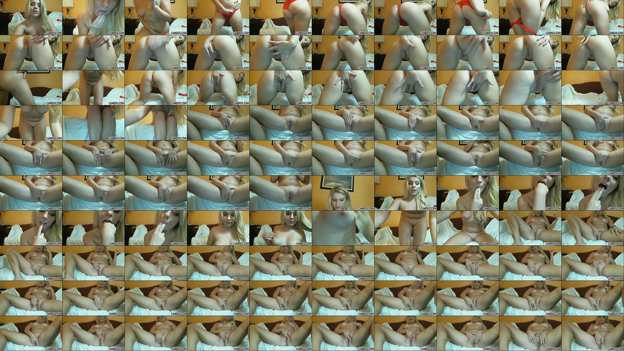 camosis.xmlWindows Media Video V11 TSO 720x404[9] 预览图