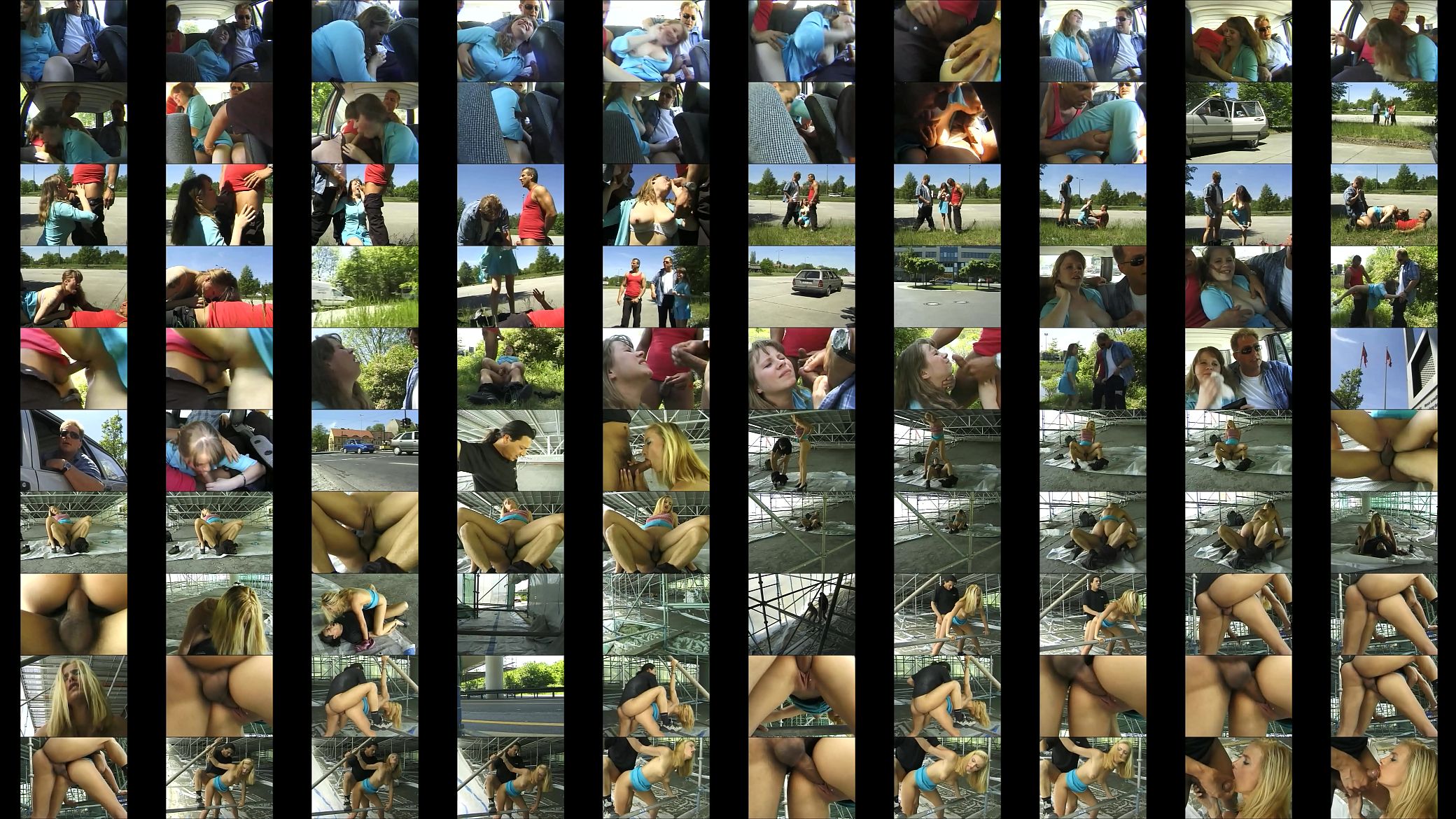 Show offs love to fuck outdoor Vol. 9 预览图