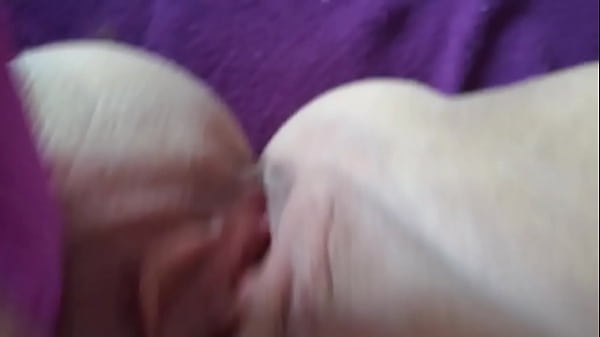fat pussy