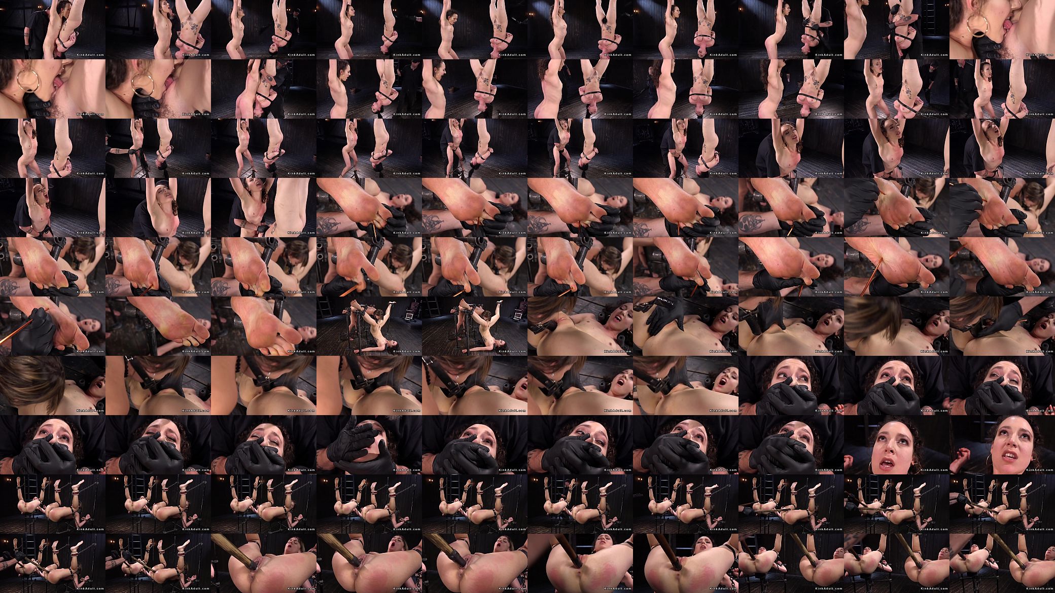 Two slaves tormented in device bondage 预览图