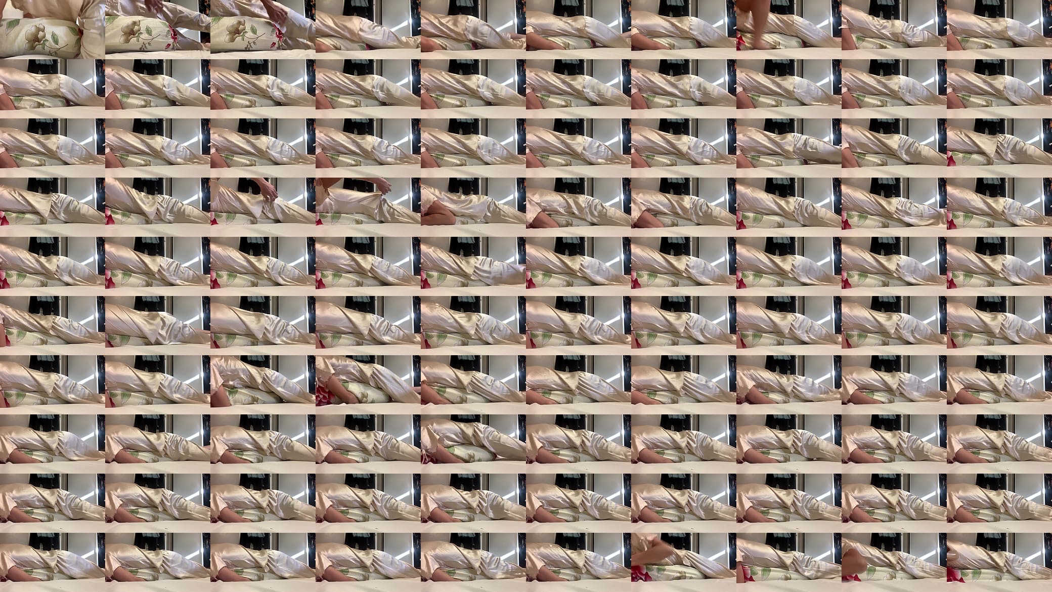 Silk 预览图