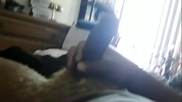 Lost video