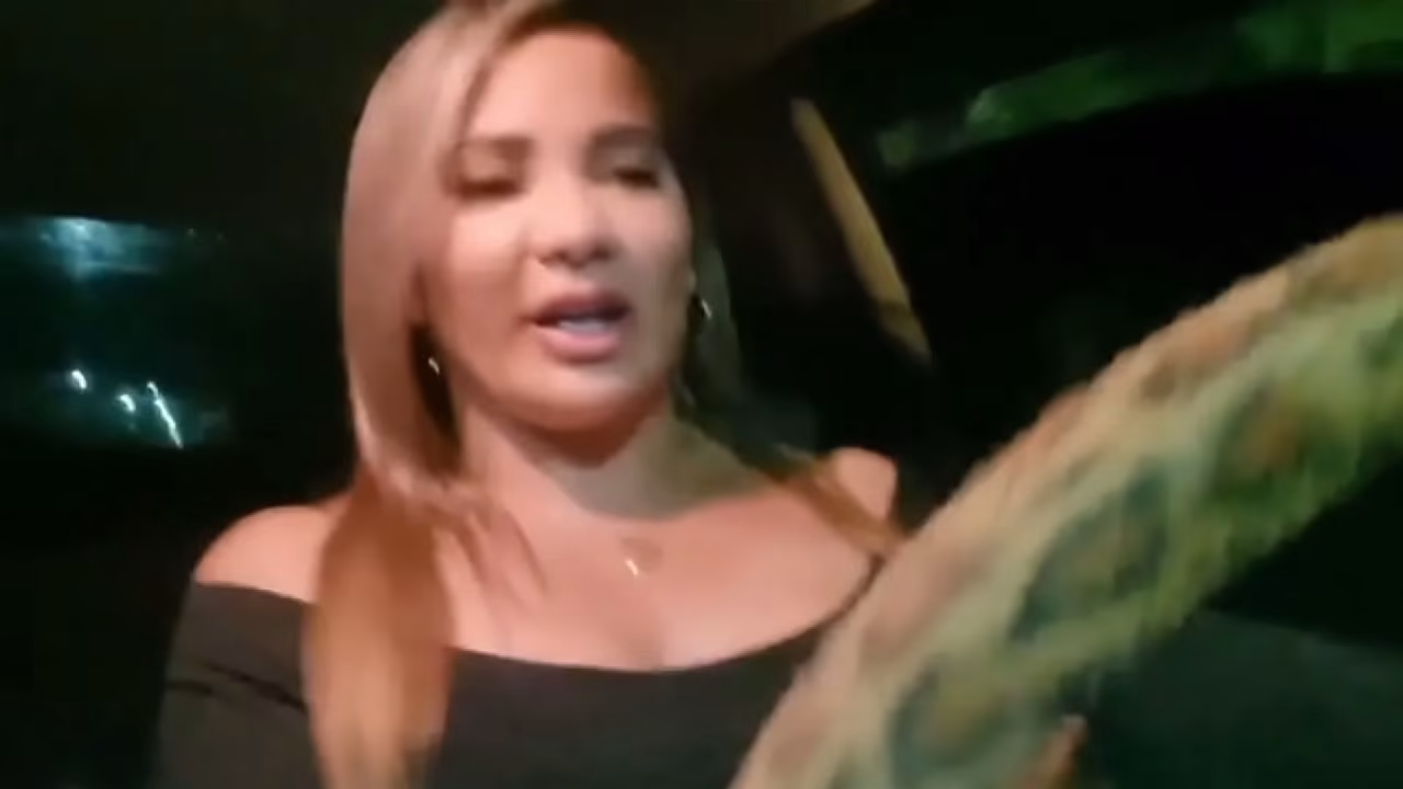 Essa sabe dirigir uma m&atilde_o no volante outra mo meu pau