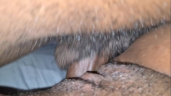 Vagin Vagin Vagin. Le Meilleur Ami De L'homme