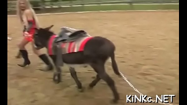 Sexy facesitting and t. for completely wrapped up villein