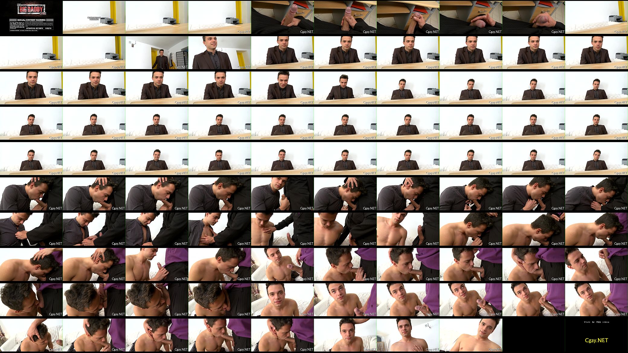 Nasty and sensual gay sex 预览图