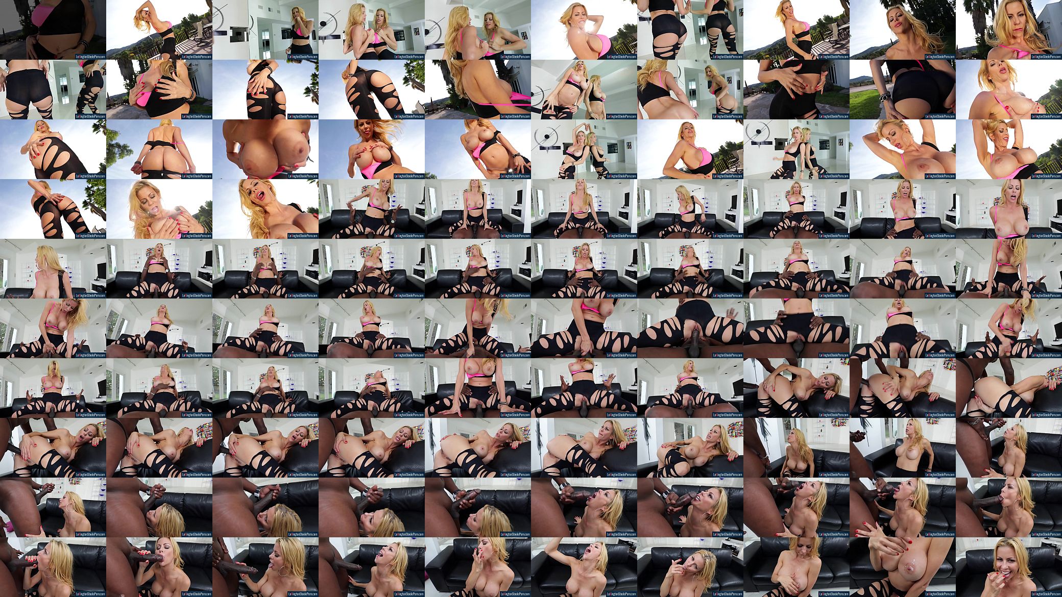 MILF Fawx 11 Interracial Inches Lexington Steele Alexis Fawx 预览图