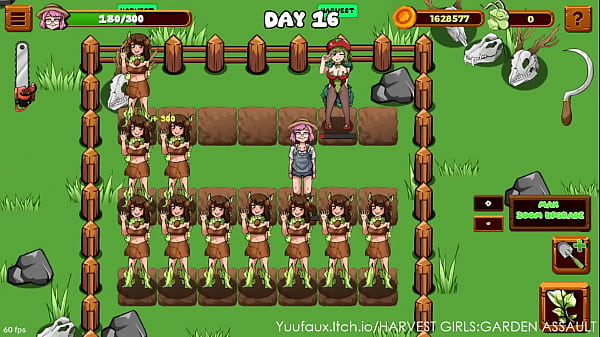 HARVEST GIRLS (DAY 16)