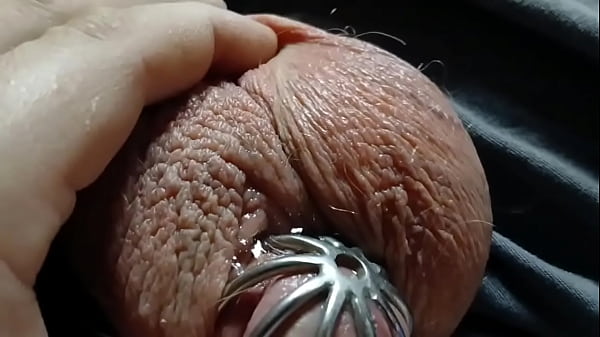 A very leaky cage puppy