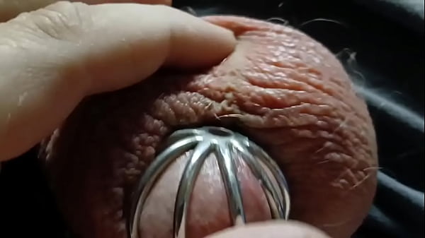 A very leaky cage puppy