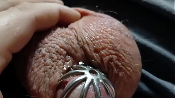 A very leaky cage puppy