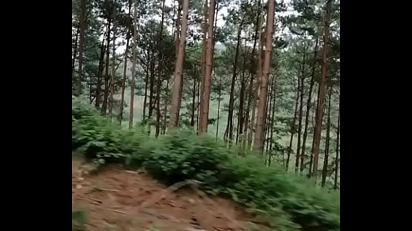 Video x&aacute;c minh