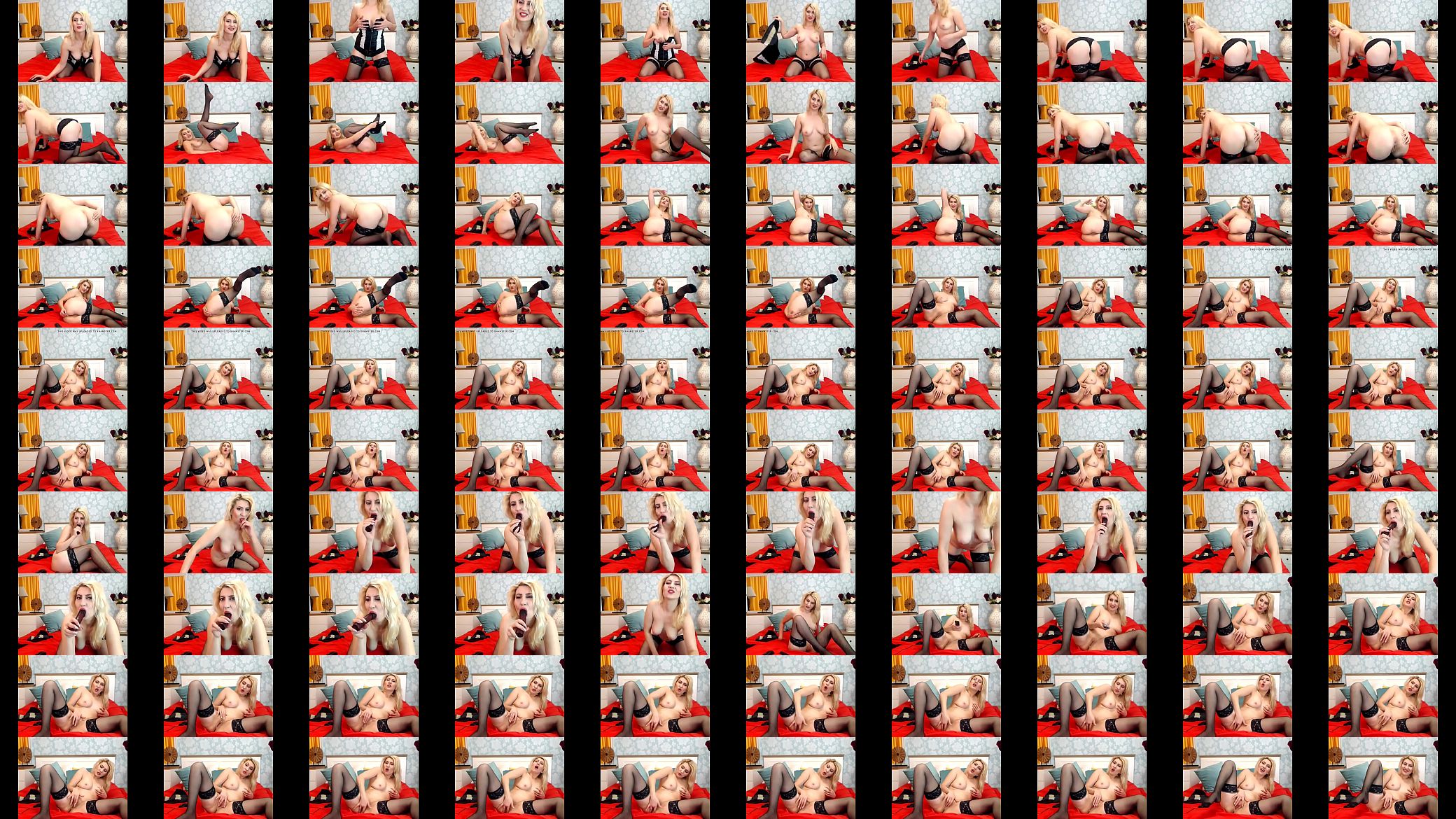web 1041 预览图
