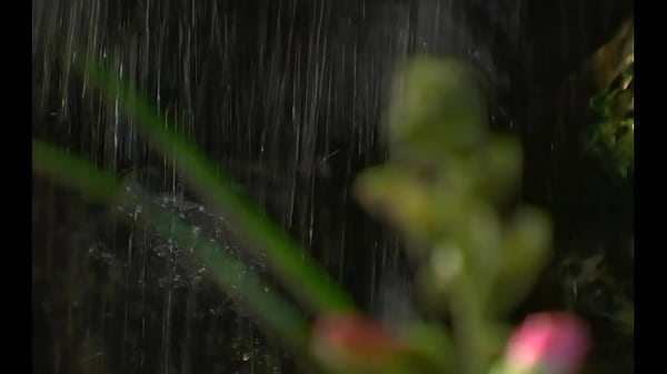 Fair Skinned Annika Lingerie Gets A Load To Her Face And Tits