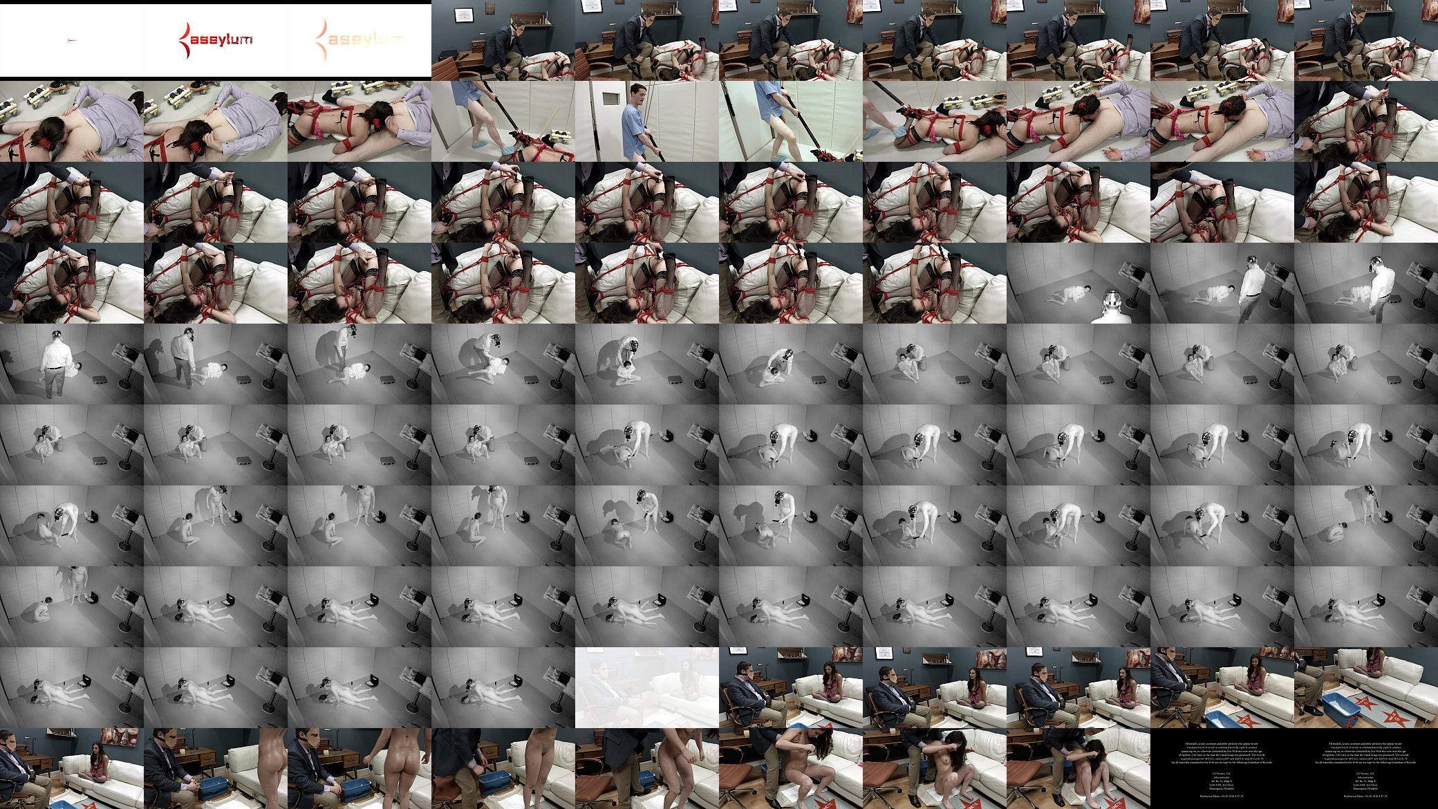 Assfucked in the dark and anally stungunned 预览图