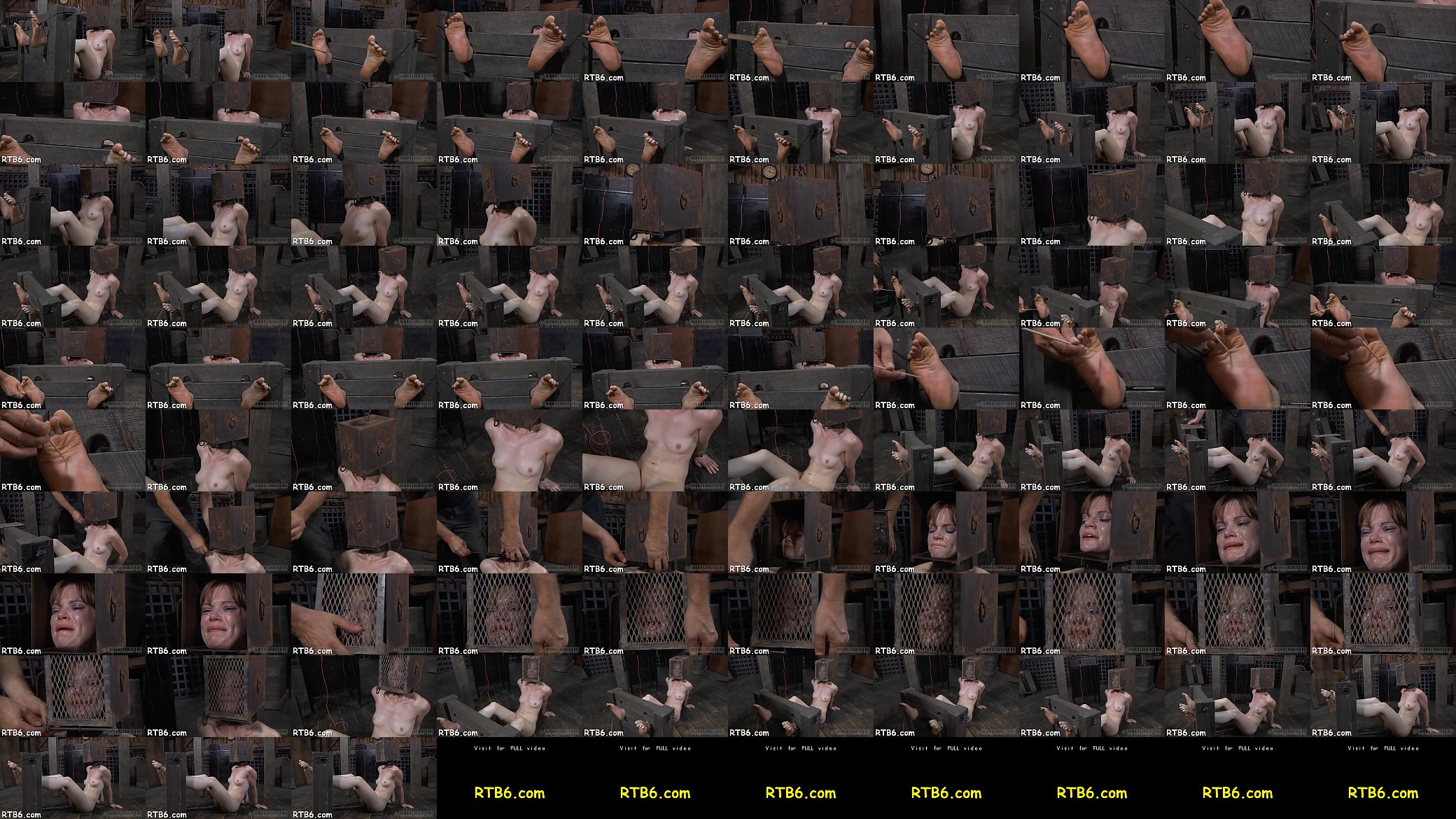 Anal castigation with s. squirting 预览图