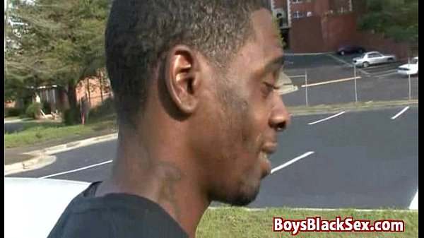 Blacks On Boys - Interracial Gay Hardcore Bareb...