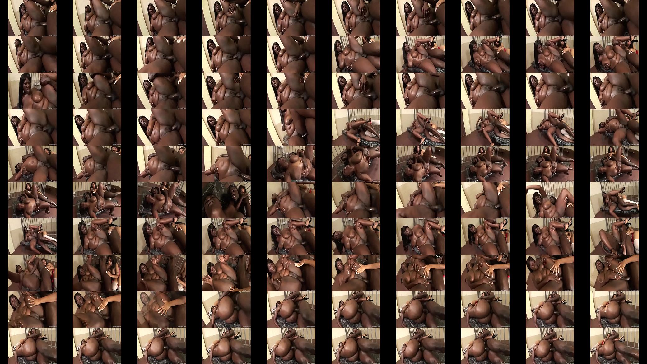 Double XXL Ebonies Hard Prison Fuck 预览图