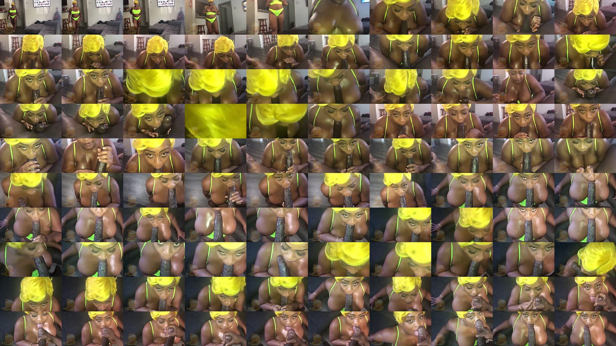 Ebony Houston Big Tit Slut Receives Huge Facial By SexGodPicassoEx 预览图