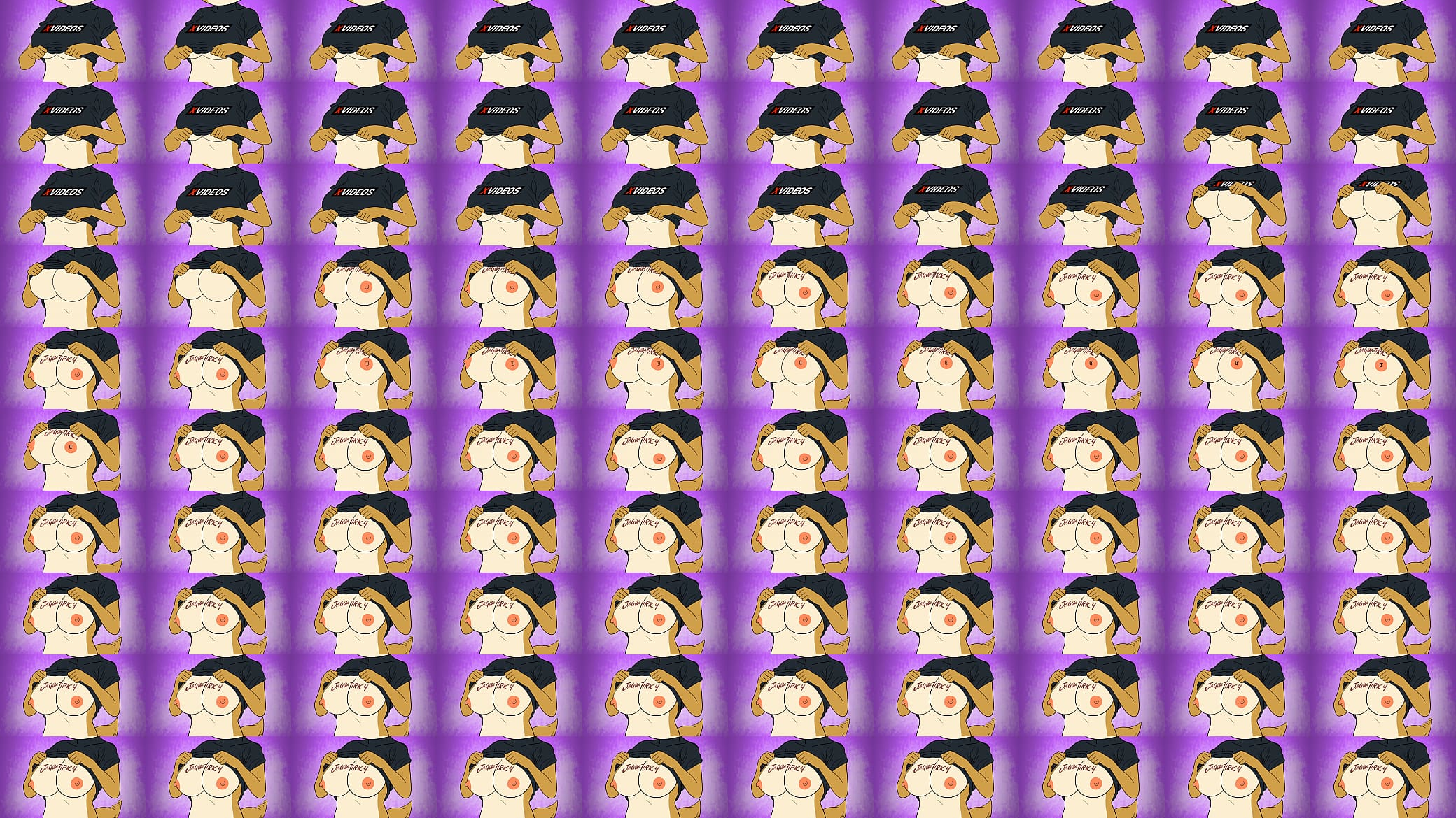 verification video 预览图