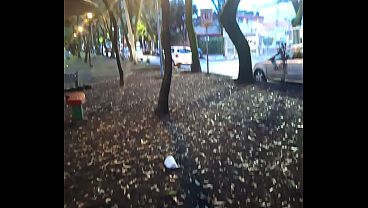 Brief compilation of people urinating in the street