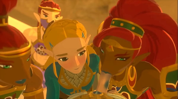 Zelda Desert Training // Credits: nodu-anim