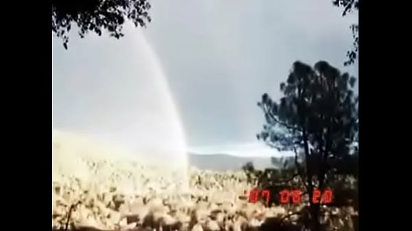 Gods promis